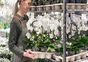 Carbon reduction by 81%! Swedish company replaces polystyrene pallets with wood fiber pallets